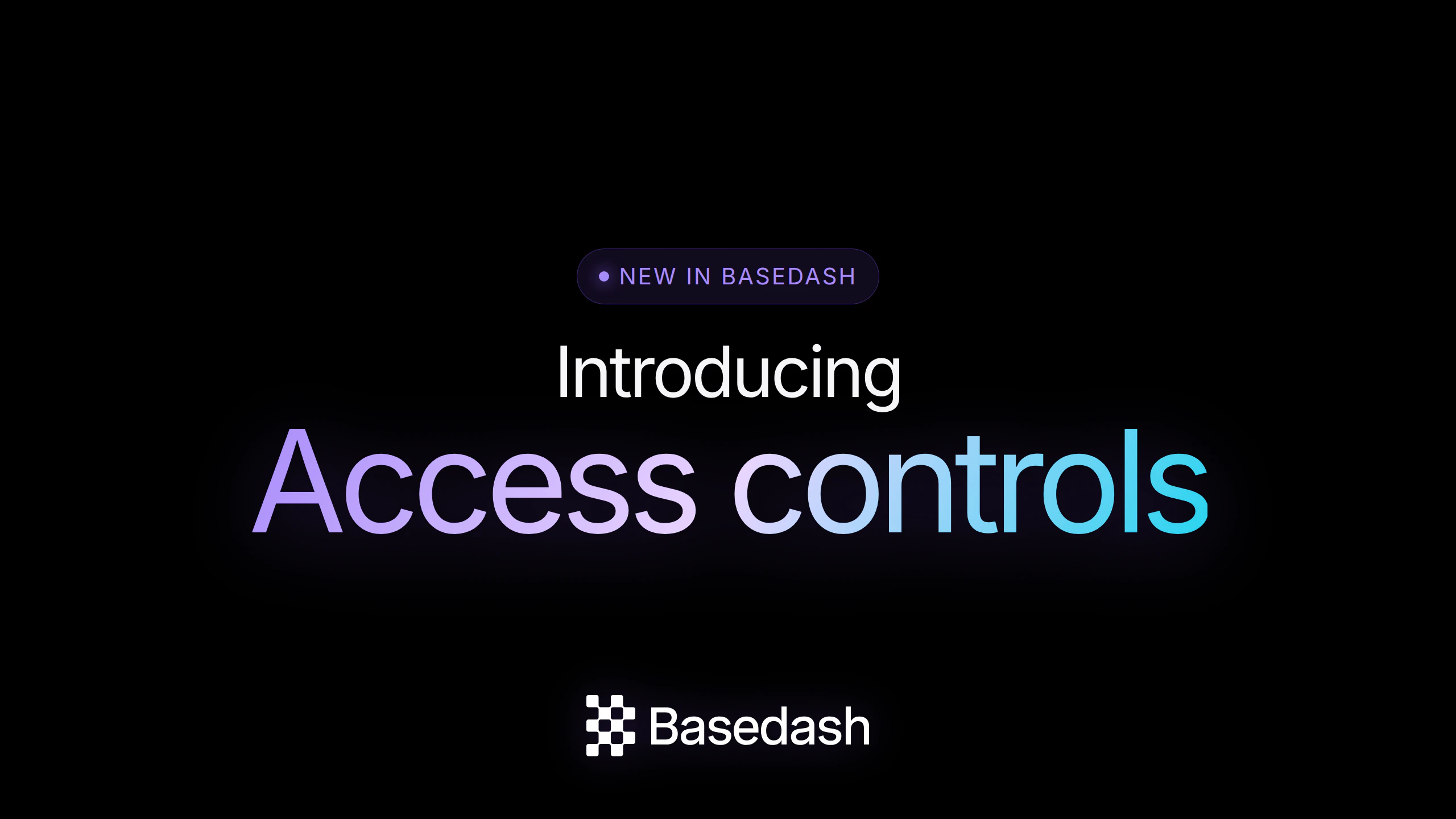 Basedash Access Controls screenshot 1