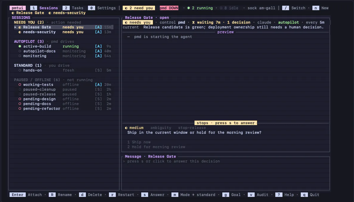 pmtui screenshot 1