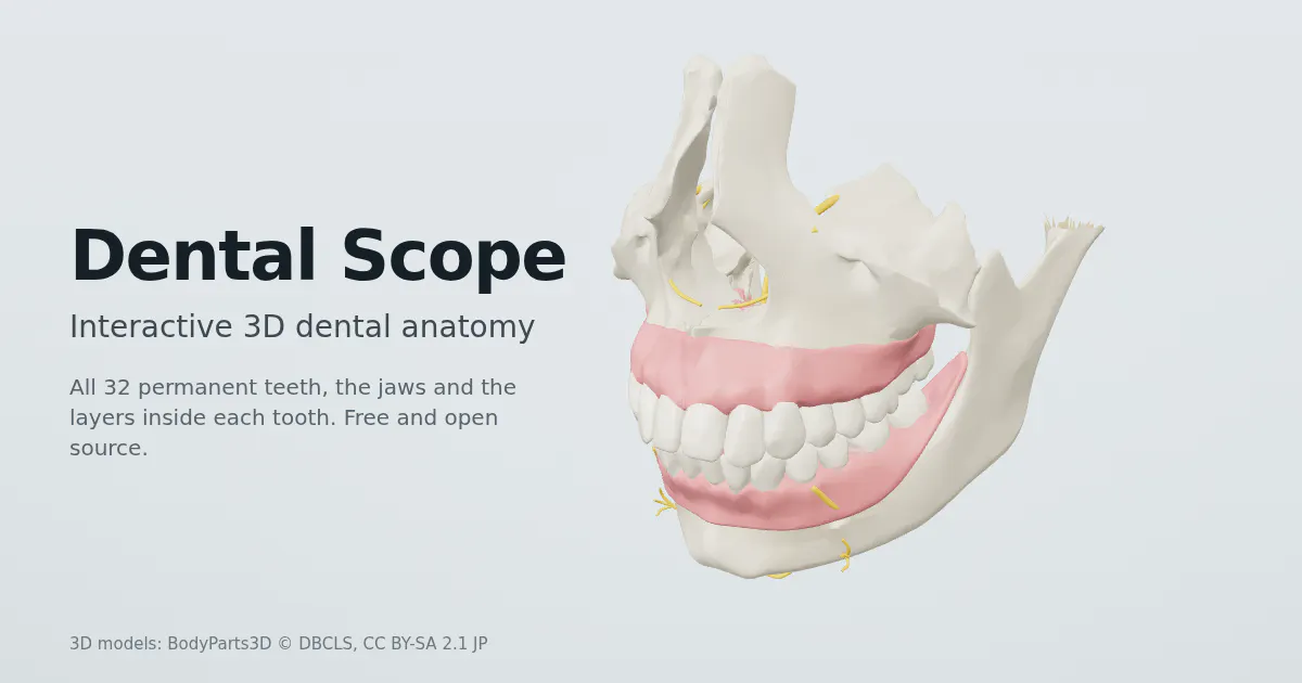 Dental Scope screenshot 1