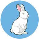 marpy.io