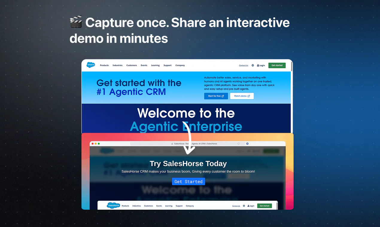 LiveDemo screenshot 1