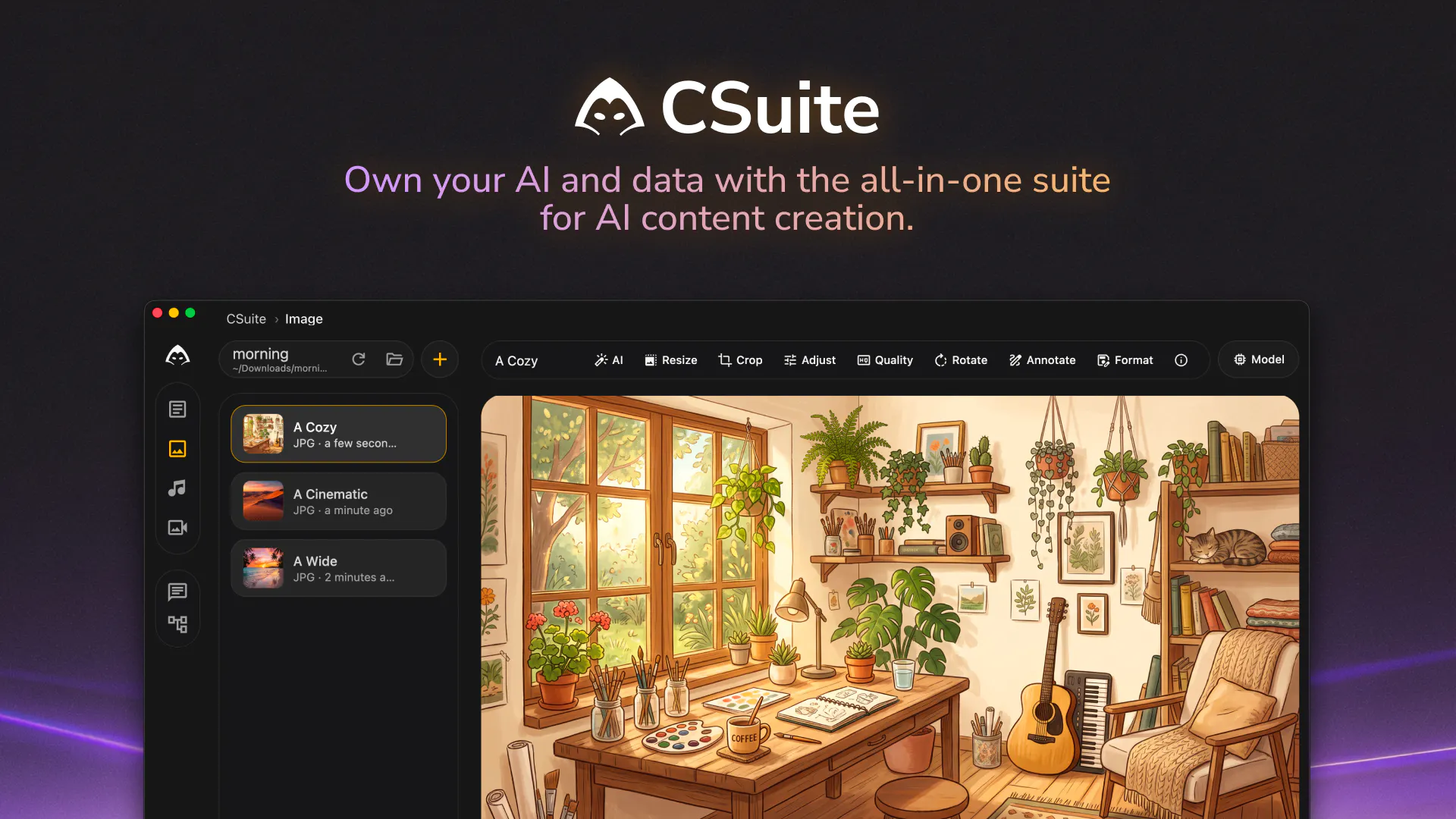 CSuite screenshot 1