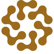 LapuAi