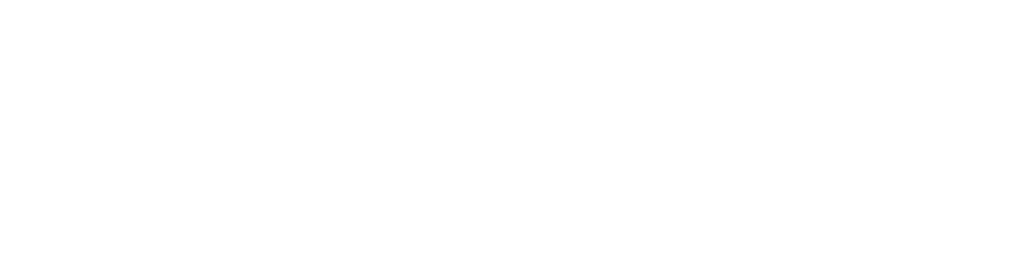 Verfi
