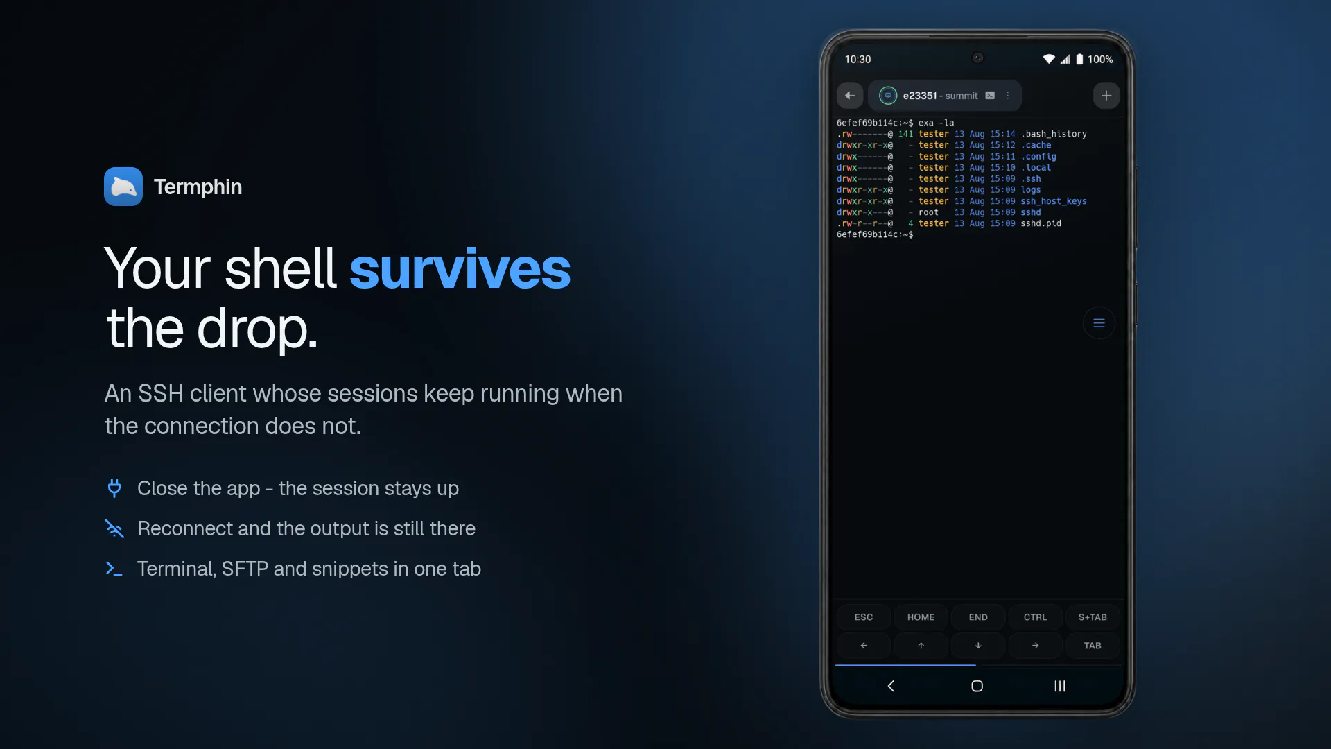 Termphin screenshot 1